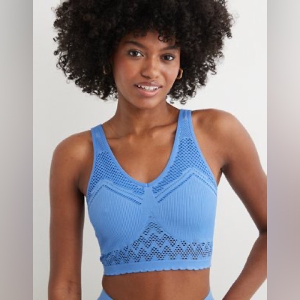 Aerie Blue Bra